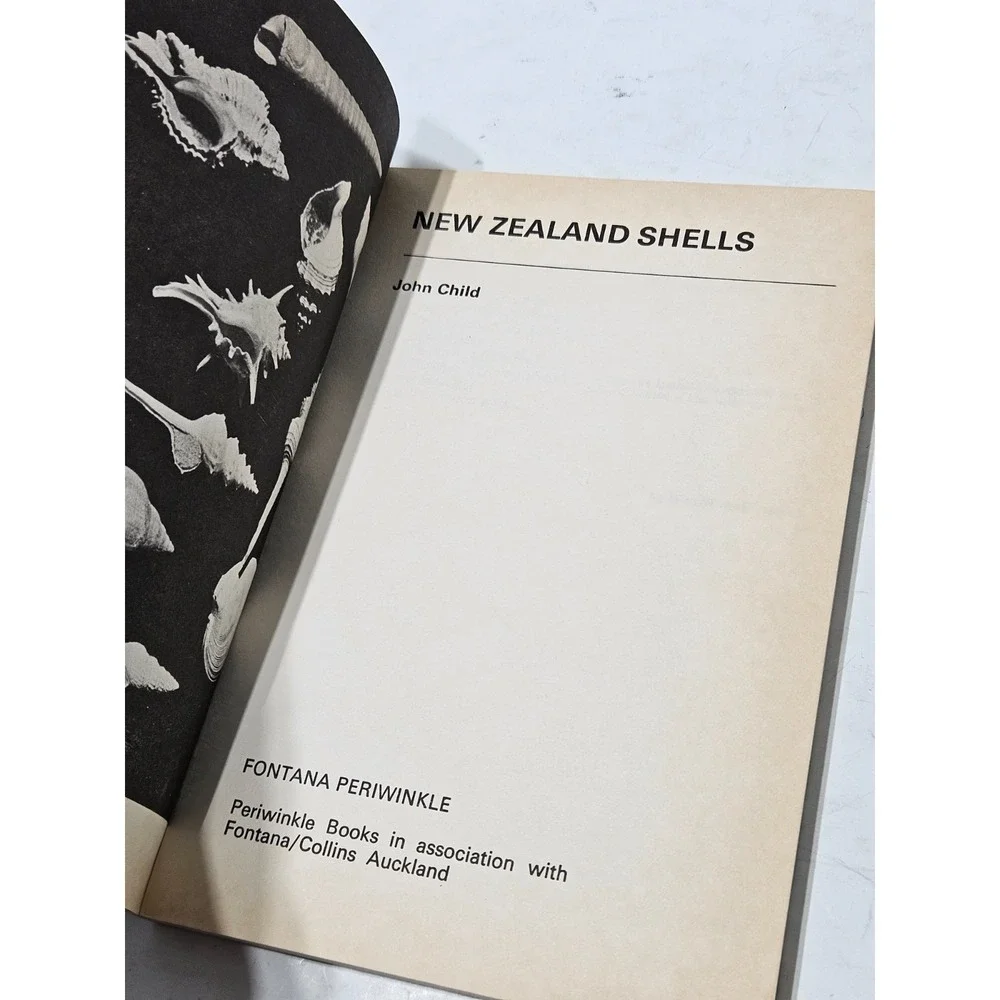 New Zealand Shells - John Child - 1974 Fontana Periwinkle